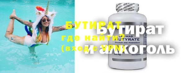 индика Осинники