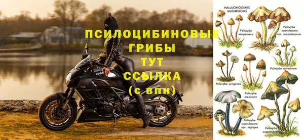 MDMA Вяземский