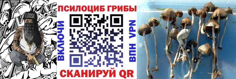 Псилоцибиновые грибы MAGIC MUSHROOMS  Дагестанские Огни 